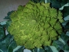 fractal-dinner-1