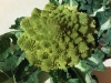 fractal-dinner-2