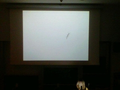 visualiser2