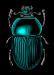 beetle_bug_clip_art_medium