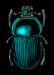 beetle_bug_clip_art_small