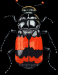 insect_28
