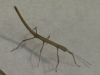 sticky-5