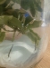 sticky-jar-4