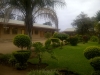 kolokoshani1
