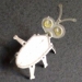 mini-olaat