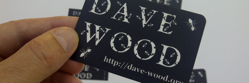 Moo Business Cards